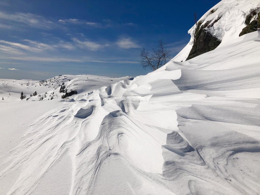 The fabulous Hallingdal Track - a Norwegian adventure